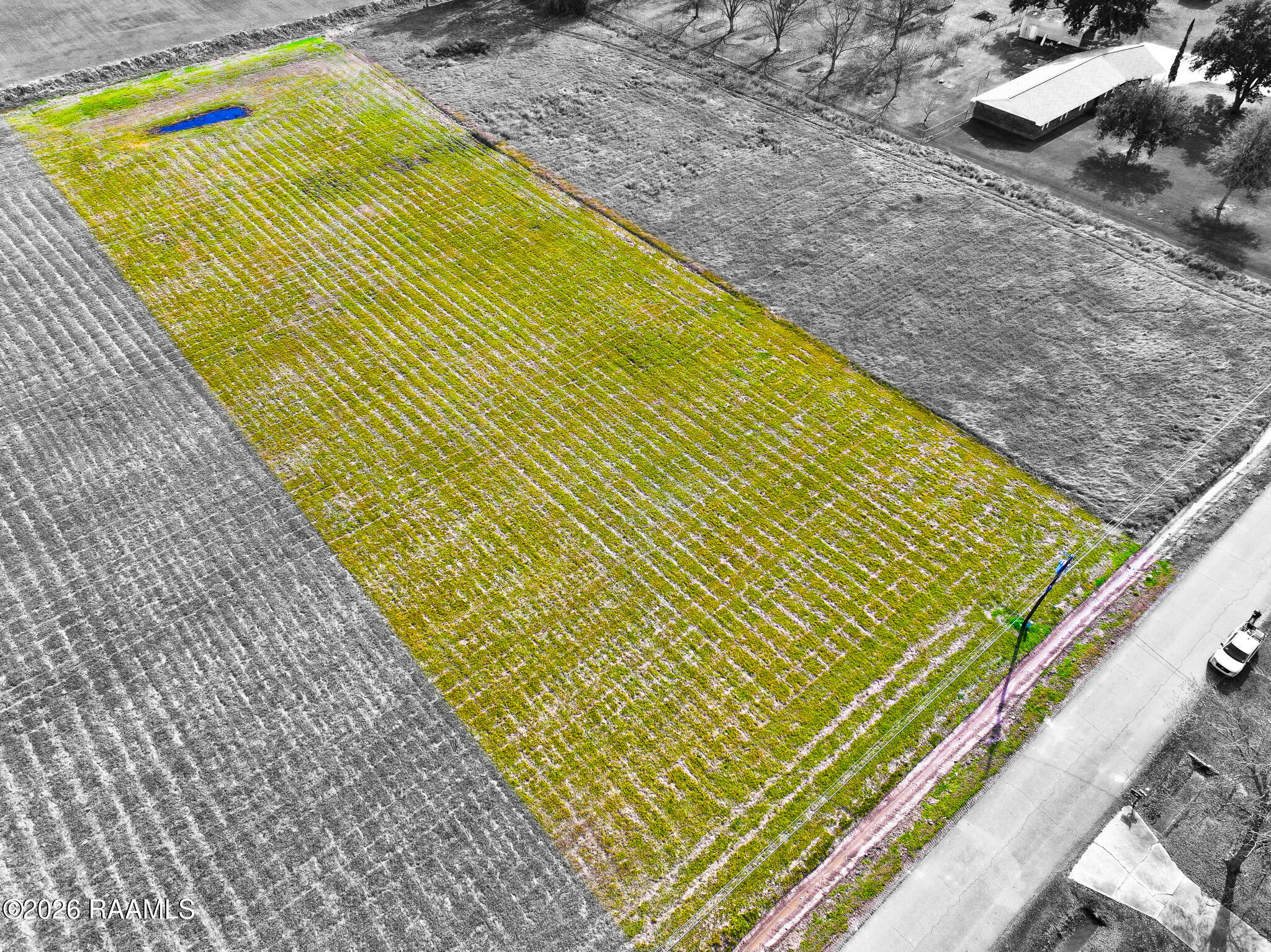Land in Opelousas 3