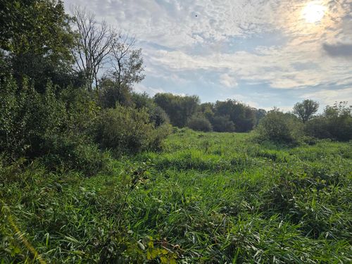 TBD Tbd, Ham Lake, MN, 55304 | Card Image