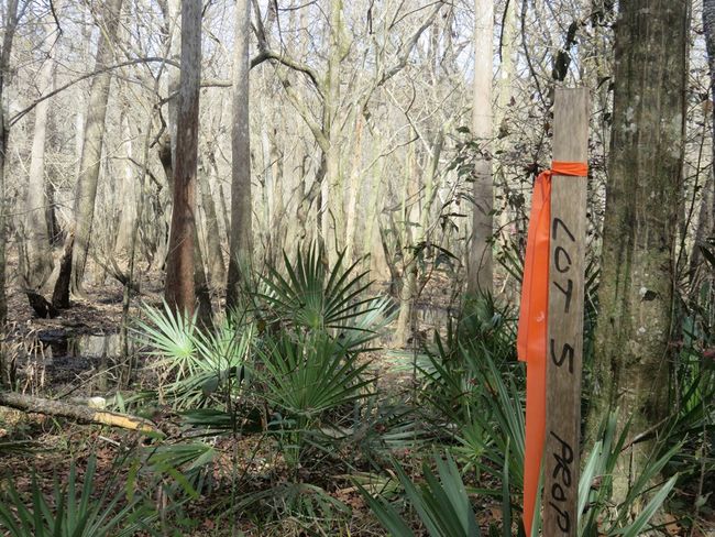 Rear of the lot | Image 10