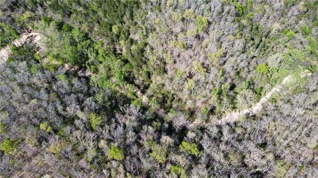 000 Holmes Rd, Home with 0 bedrooms, 0 bathrooms and null parking in Mountain View AR | Image 22
