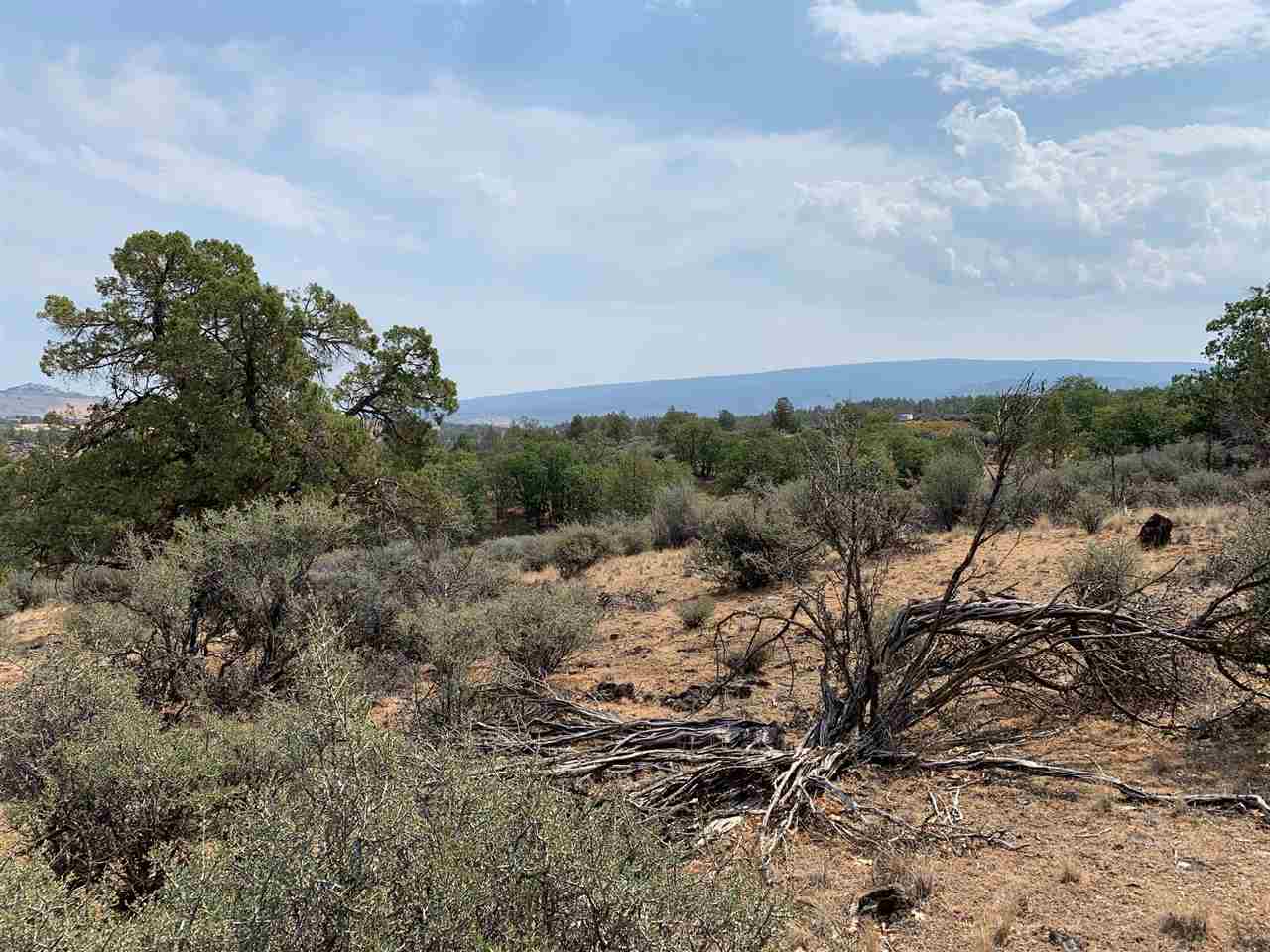 Land in Montague 4