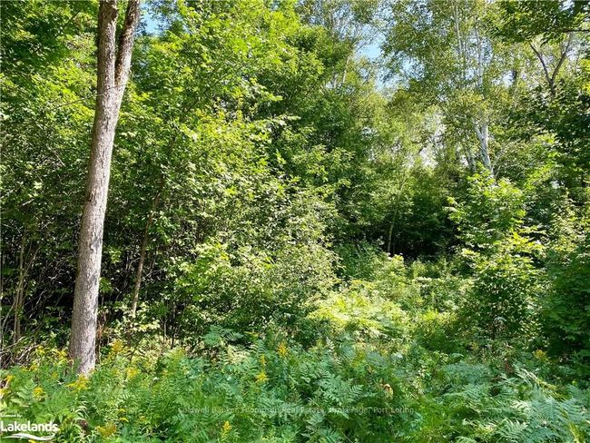 22-A Maple Dr, Home with 0 bedrooms, 0 bathrooms and null parking in Loring ON | Image 23