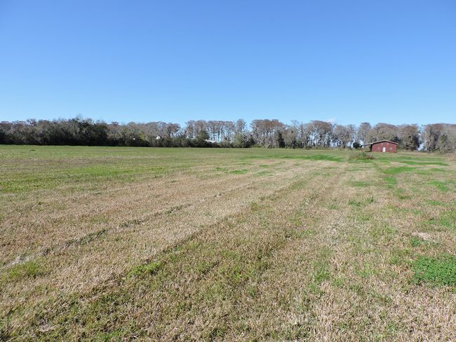192 Commercial Ave, Home with 0 bedrooms, 0 bathrooms and null parking in East Palatka FL | Image 6