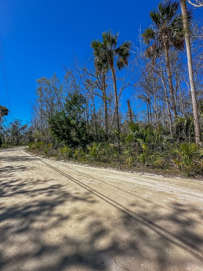 915 Sw 248th Ave, Home with 0 bedrooms, 0 bathrooms and null parking in Steinhatchee FL | Image 4