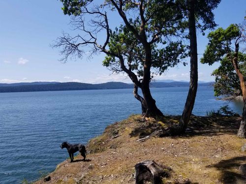 2571 Ridge Road, Galiano Island, BC, V0N1P0 | Card Image