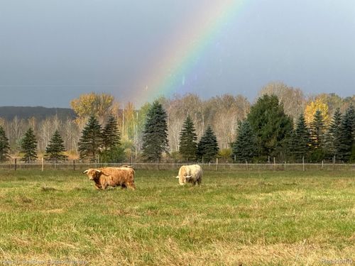 400 E Spruce Rd, Spruce, MI, 48762-9712 | Card Image