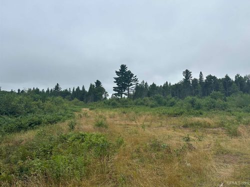 Off S Arfelin Lake Road, Michigamme, MI, 49861 | Card Image