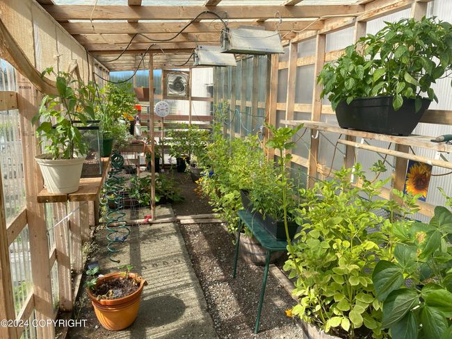 Greenhouse interior position 1 | Image 81