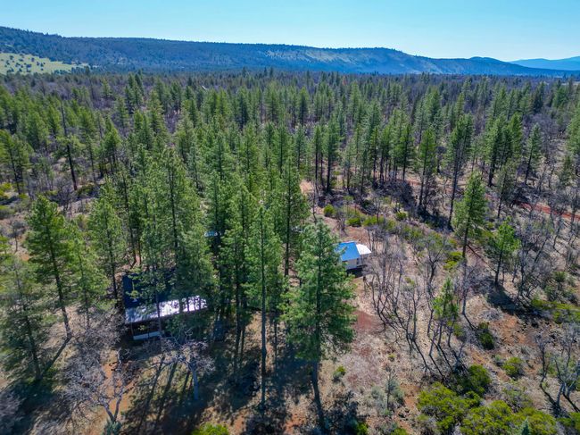 547705 Old Highway Rd, House other with 3 bedrooms, 3 bathrooms and null parking in Mcarthur CA | Image 59