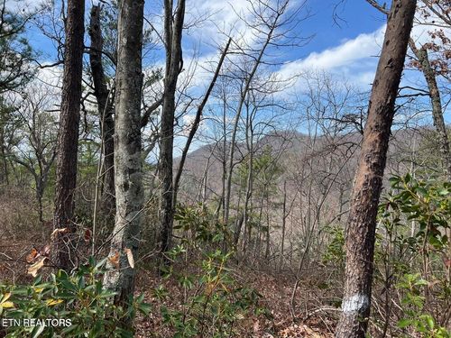 0 Chestnut Ridge Ct, Sevierville, TN, 37876 | Card Image