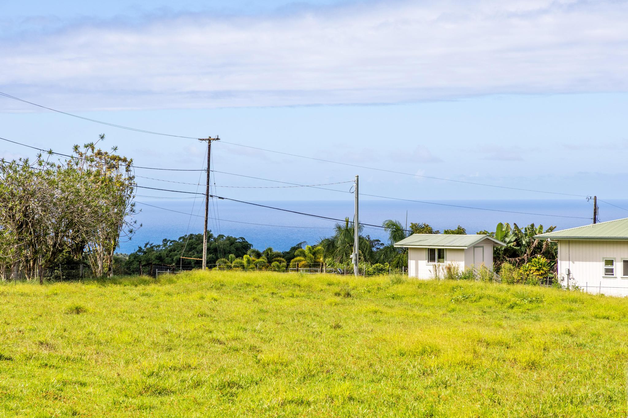 Land in Hakalau 4