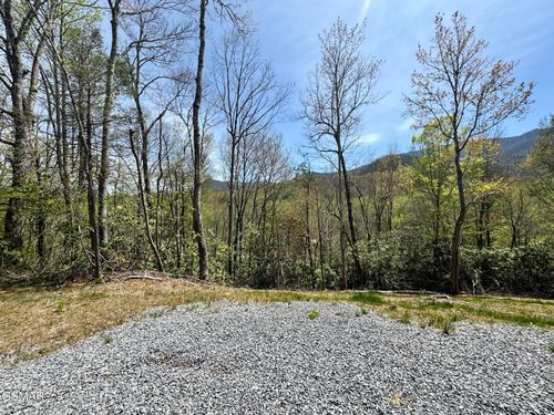 1 Cote Way, Cosby, TN, 37722 | Card Image