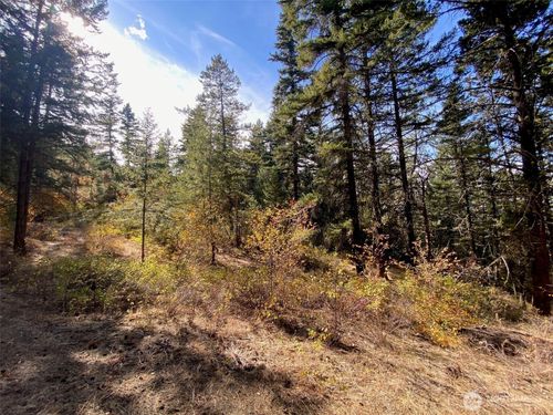 8888 Deer Creek Dr, Waterville, WA, 98858 | Card Image