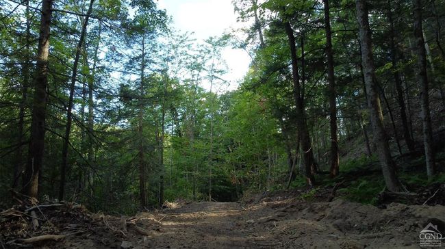 15 Gorge Rd, Home with 0 bedrooms, 0 bathrooms and null parking in Middleburgh NY | Image 25