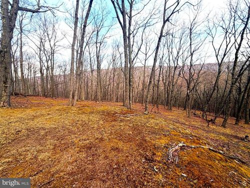 Lot 5 Preserve Road, MAYSVILLE, WV, 26833 | Card Image