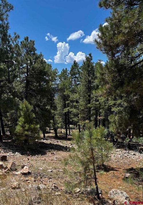 144 Woodridge Cir, Pagosa Springs, CO, 81147-8672 | Card Image