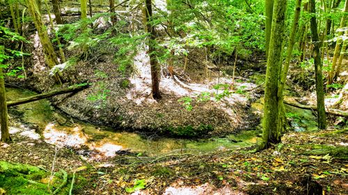 8.5 ACRES 5th St, Onekama, MI, 49675 | Card Image