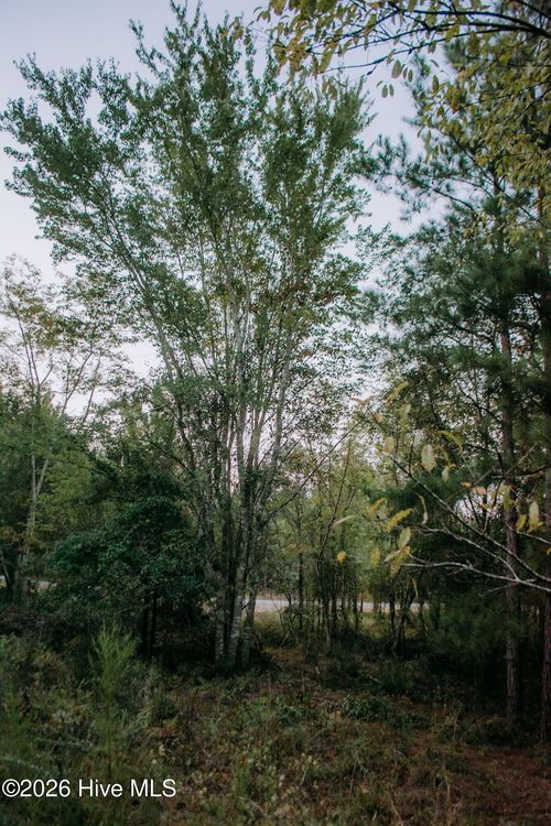 Lot 3-Tbd Nighthawk Loop, Aberdeen, NC, 28315 | Card Image
