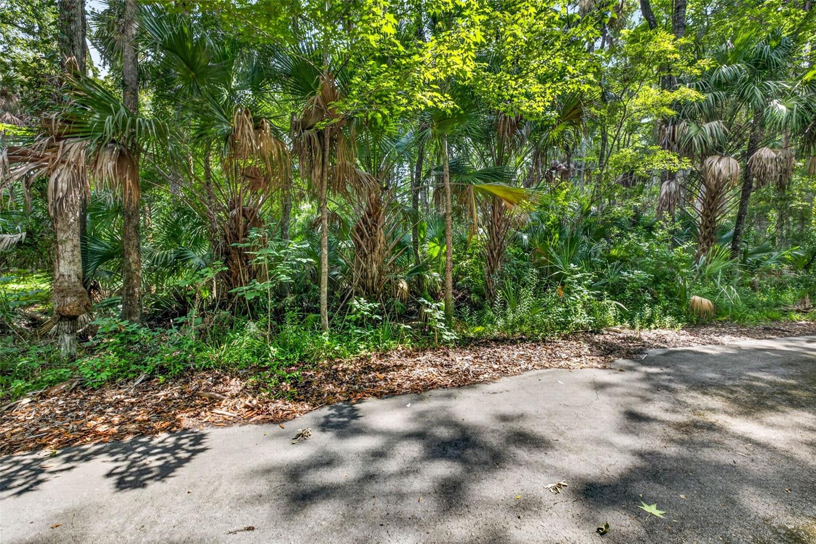 Land in HOMOSASSA 4