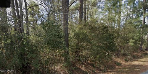 Tbd Ginn Altman Avenue, Hampton, SC, 29924 | Card Image