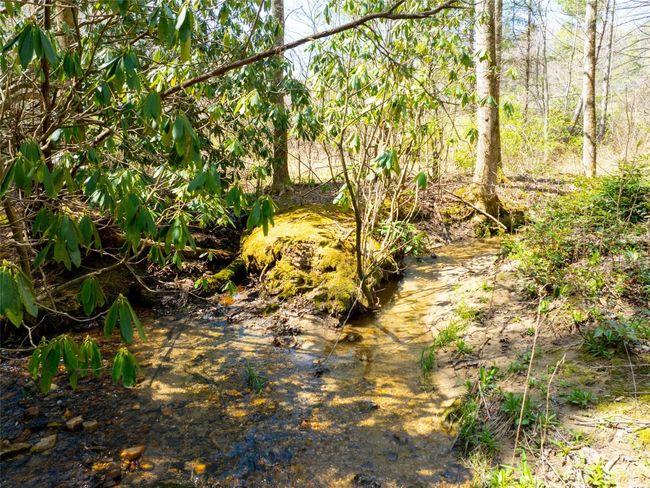 140 Hanging Dog Ln, House other with 5 bedrooms, 5 bathrooms and null parking in Lake Toxaway NC | Image 45