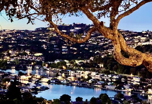 45 Bella Vista Ave, Belvedere Tiburon, CA, 94920 | Card Image