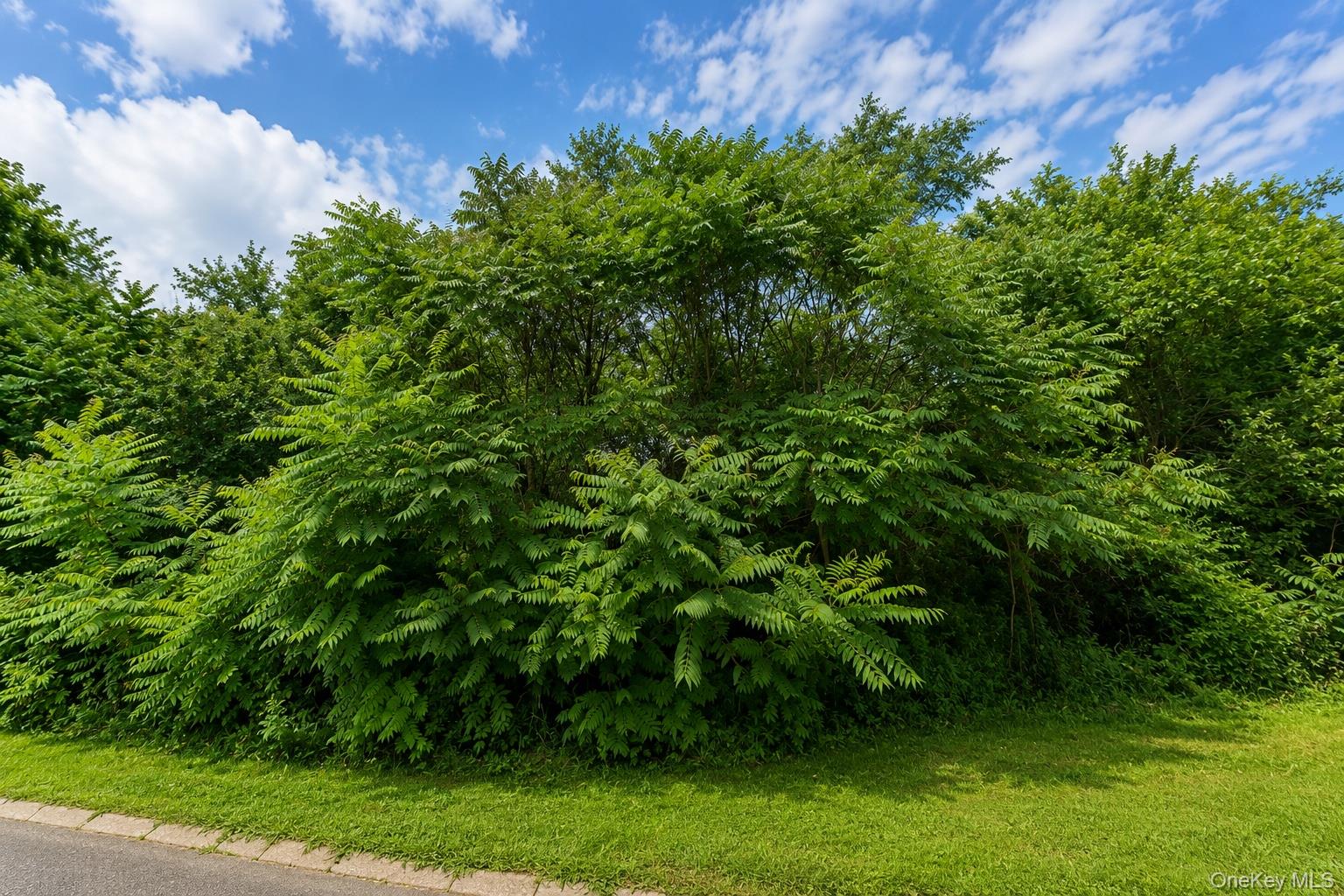 Land in Pleasant Valley 4