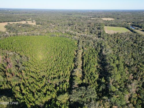 0000 Arrant Rd, Westville, FL, 32464 | Card Image