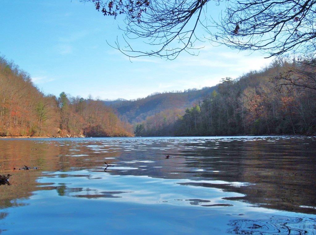 Land in Tuckasegee 3