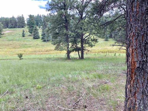 Lot 79 San Juan Cir, Angel Fire, NM, 87710 | Card Image