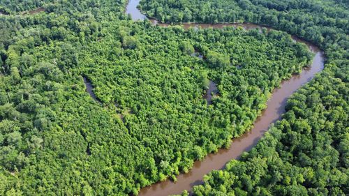 850 Vince Bluff Road, New Edinburg, AR, 71660 | Card Image