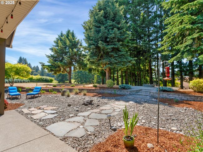 Backyard | Image 23