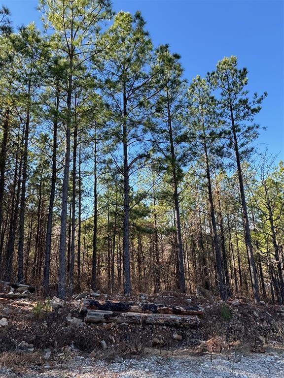 Land in Broken Bow 3