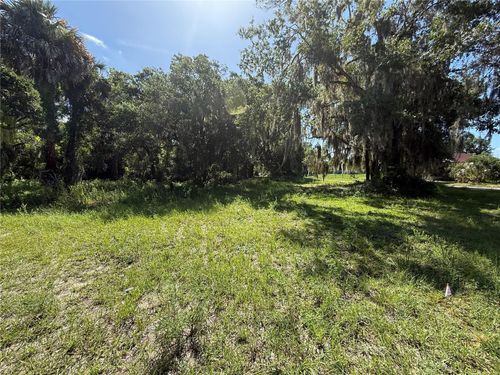 315 Palmetto St, EUSTIS, FL, 32726-3719 | Card Image