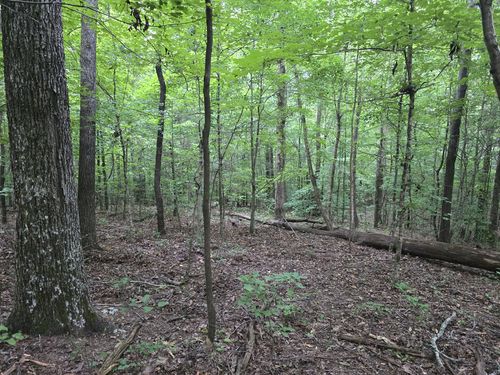 0 Cedar Hill Dr, Waverly, TN, 37185 | Card Image