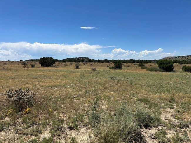 Lot 17 Longhorn Rd, Home with 0 bedrooms, 0 bathrooms and null parking in Model CO | Image 10