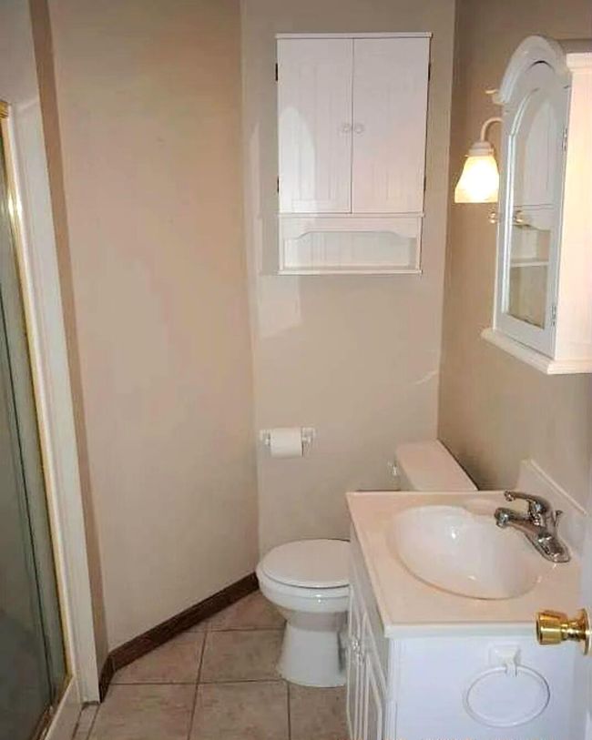 101 N Lewis St, House other with 3 bedrooms, 2 bathrooms and null parking in Saline MI | Image 20