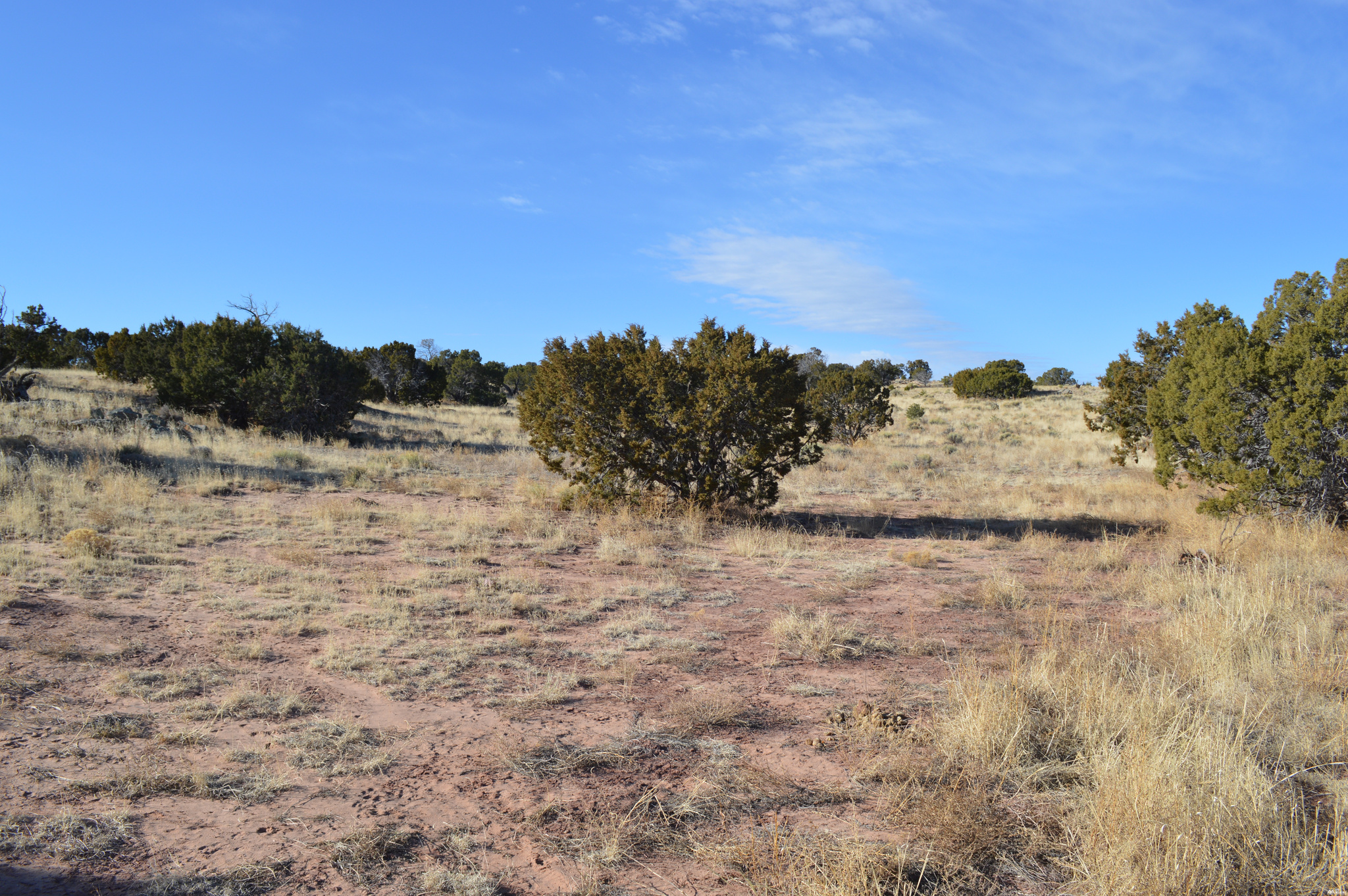 Land in Prewitt