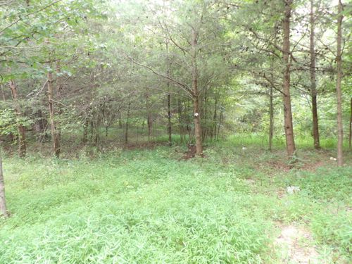 66 Mountain Creek Rd, Crossville, TN, 38572 | Card Image