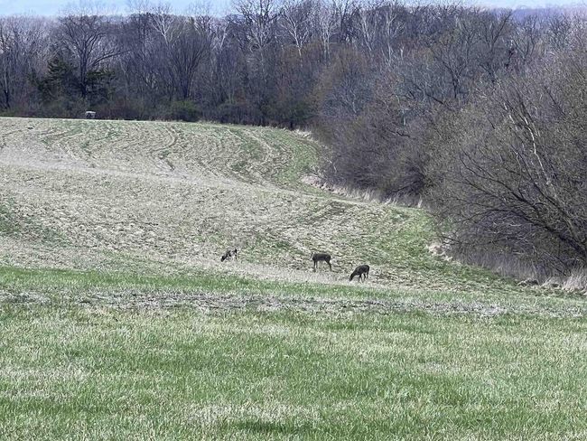 71 +/- Acres Scenic View Road, Home with 0 bedrooms, 0 bathrooms and null parking in Seneca WI | Image 22