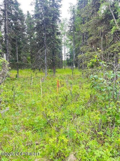 000 Madsen Ave, Kasilof, AK, 99610 | Card Image