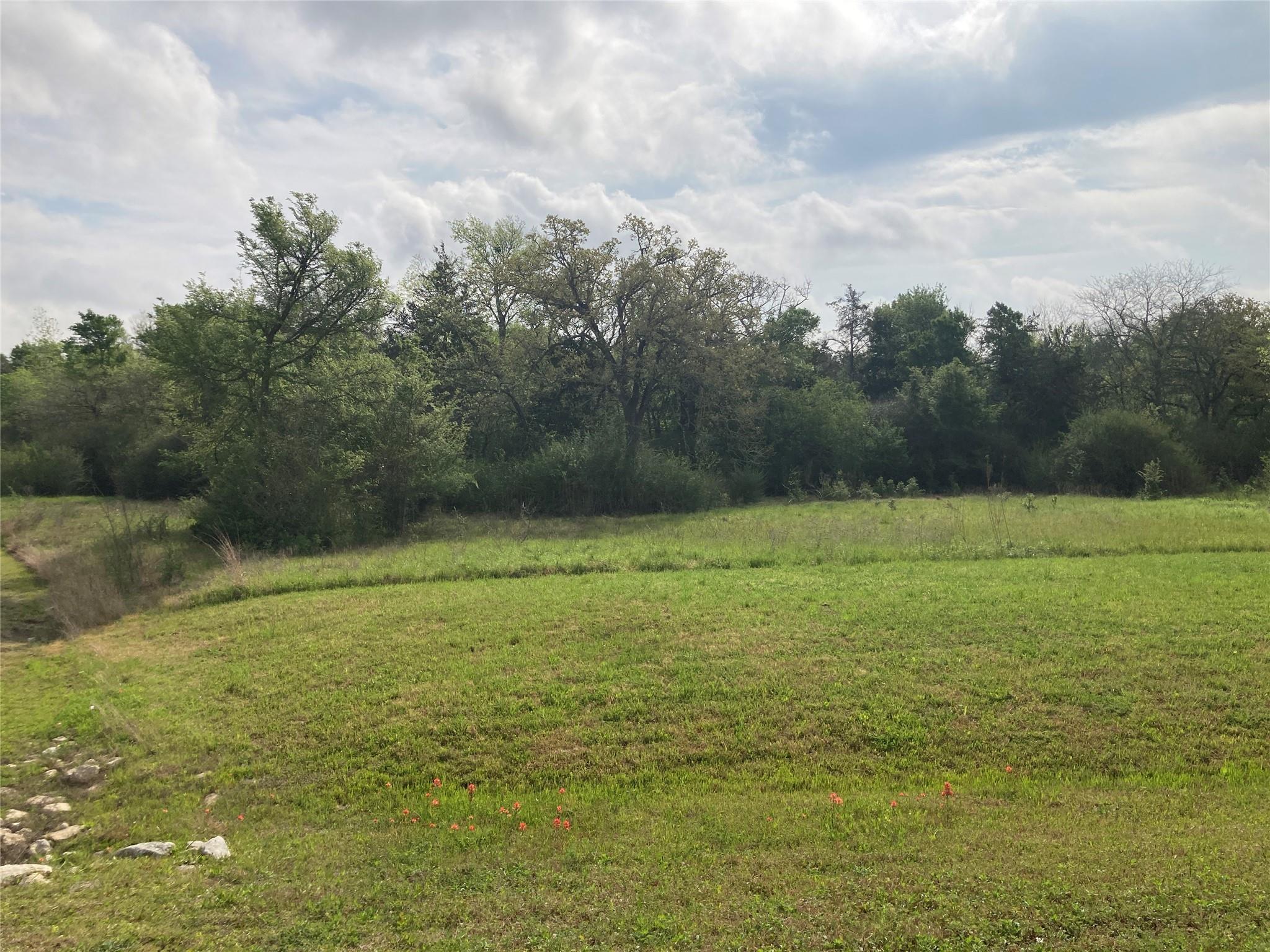 Farm in College Station 3