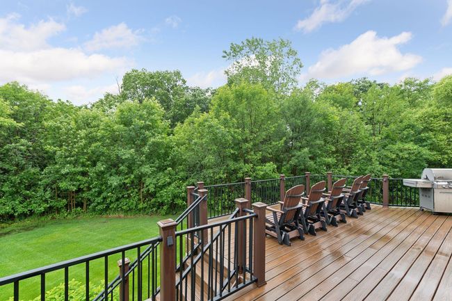 Backyard of privacy | Image 55