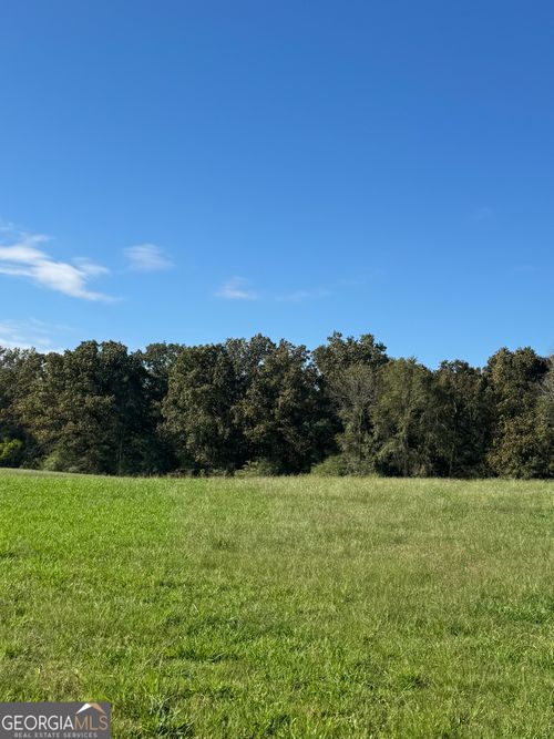 b-2-s-1-0 Ga Highway 142, Shady Dale, GA, 31085 | Card Image