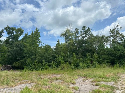 Near Andrews Lake Dr, Tabor City, NC, 28463-8900 | Card Image