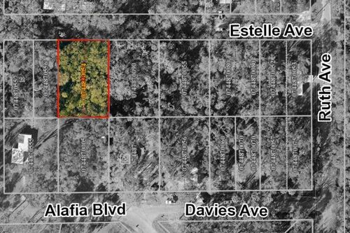 931 Estelle Ave, BRANDON, FL, 33511-7743 | Card Image