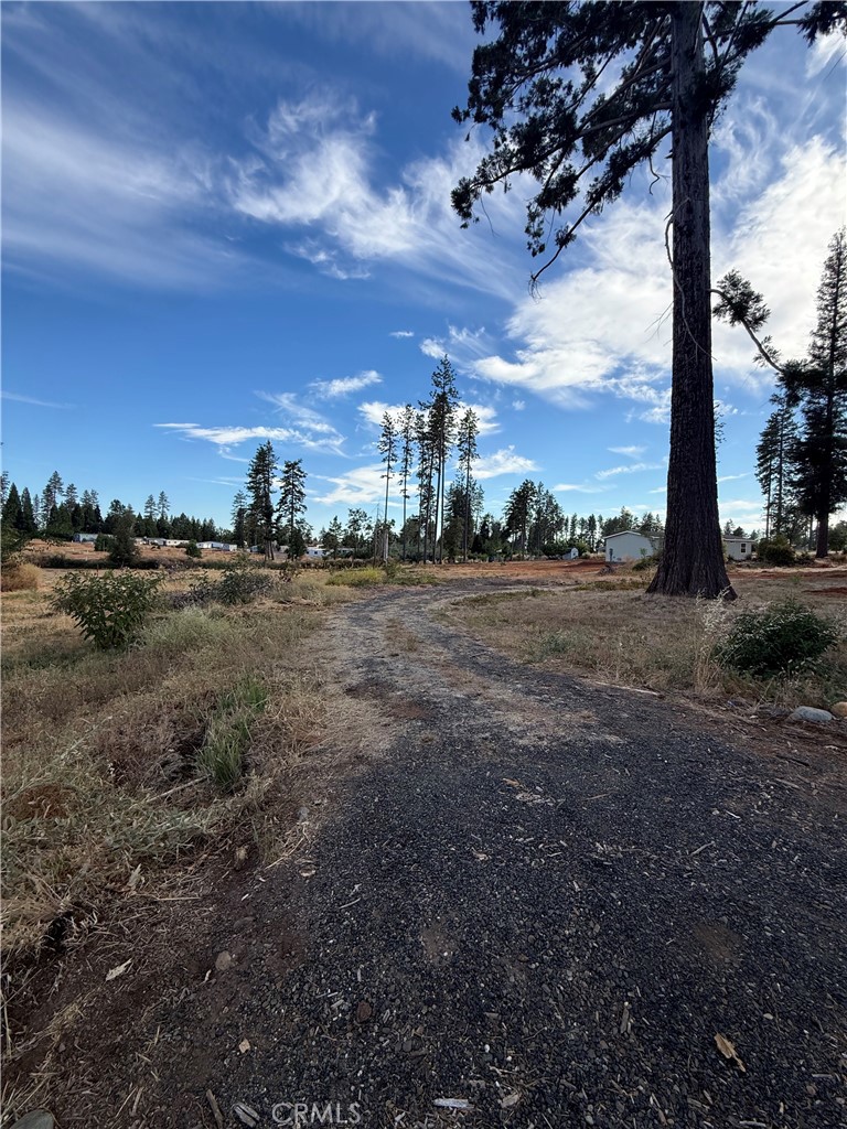 Land in Paradise 3