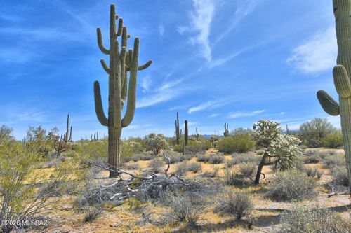 31878 E Hedgehog Trail, Marana, AZ, 85658 | Card Image