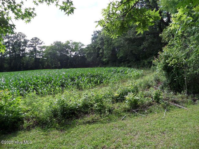 108 Swan Point Rd, House other with 3 bedrooms, 2 bathrooms and null parking in Bayboro NC | Image 48