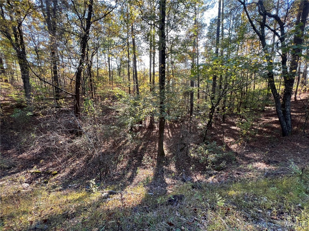 Land in McCalla 4